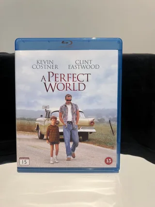 A Perfect World
