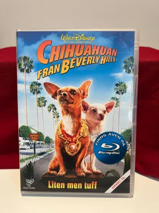 Chihuahuan Från Beverly Hills