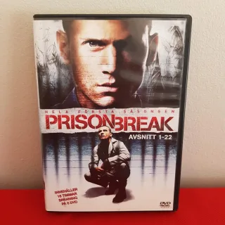 Prison Break Säsong 1