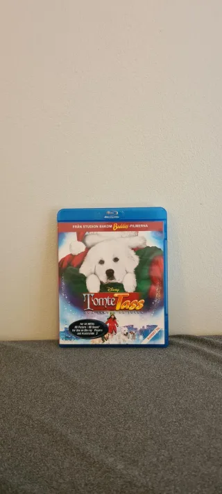 The Search for Santa Paws