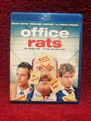 Office Rats