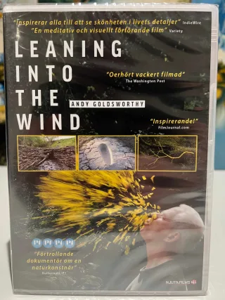 Leaning Into The Wind