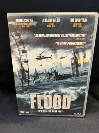 Flood