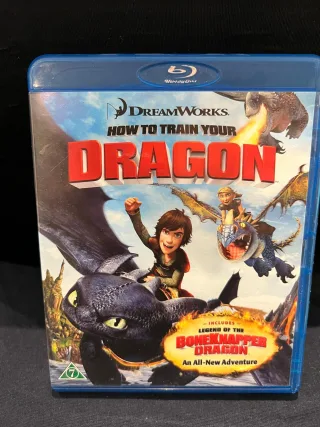 How to Train Your Dragon