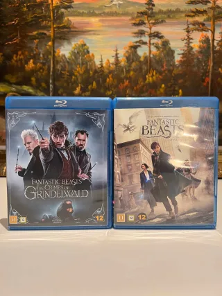 Fantastic Beasts: The Crimes Of Grindelwald