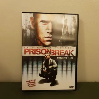 Prison Break Säsong 1