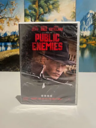 Public Enemies