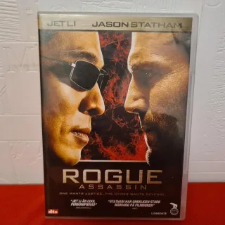 Rogue Assassin
